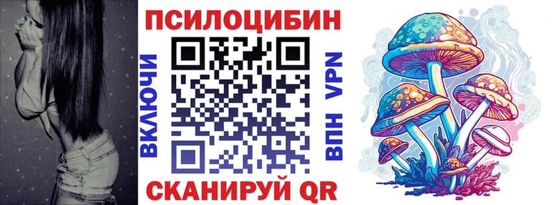 Псилоцибиновые грибы Psilocybe  нарко площадка как зайти  блэк спрут как зайти  Шагонар  закладка 